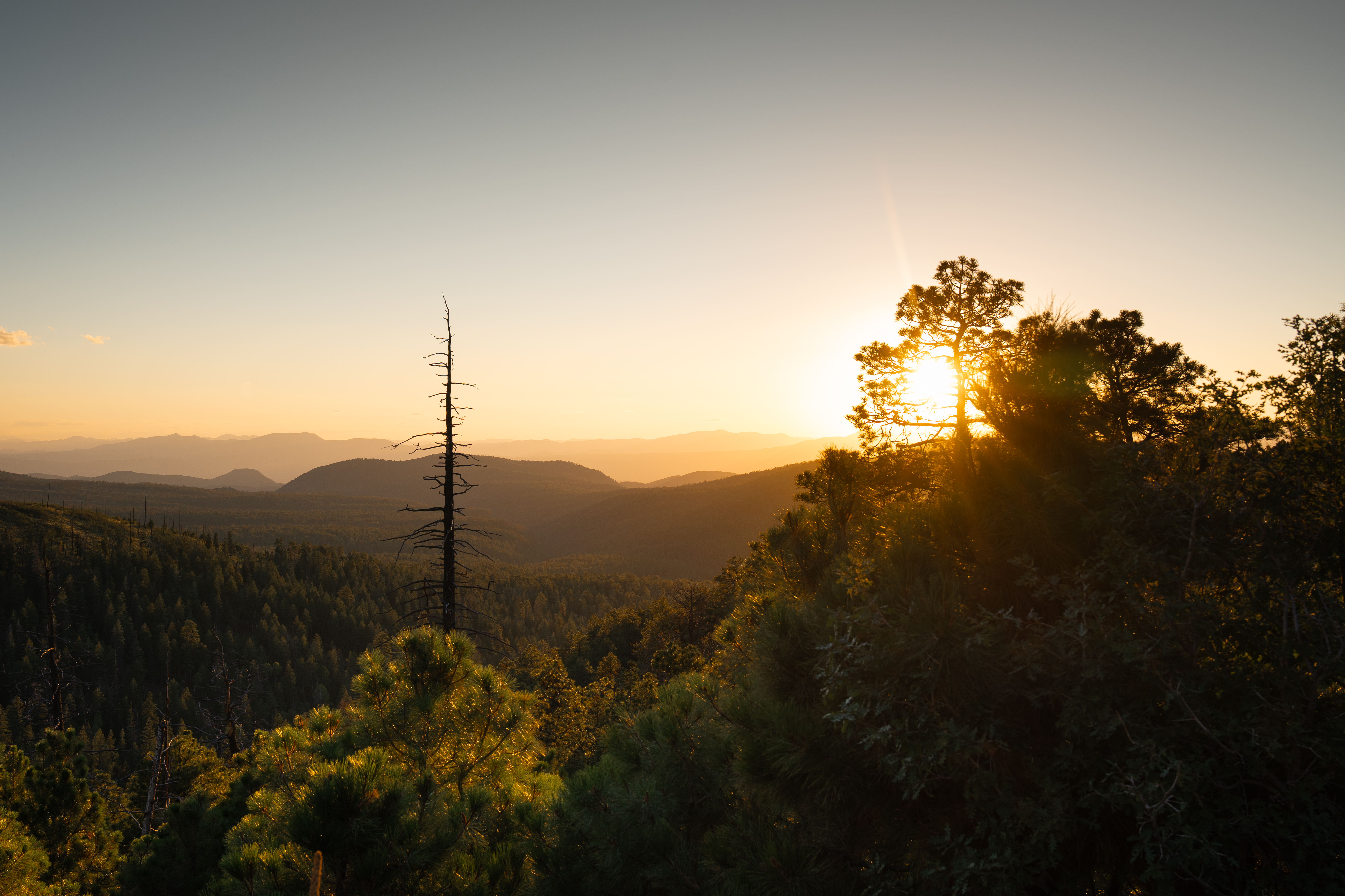 Golden hour ridge